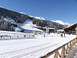 cross country ski track near the alpine slopes