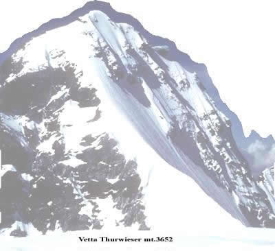 Punta Thurwieser,  cima che si pu&ograve; ammirare percorrendo la val zebr&ugrave; in valfurva